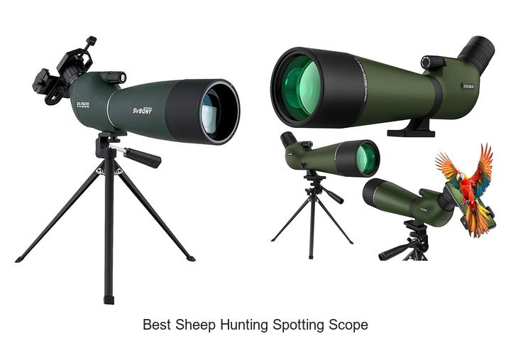 Top 12 Best Sheep Hunting Spotting Scope You Must See!