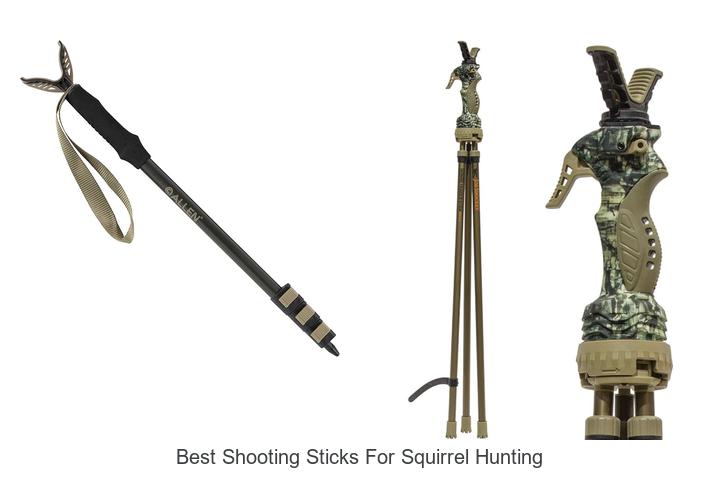 Top 12 Best Shooting Sticks for Squirrel Hunting That Win
