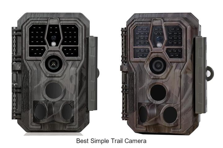 Top 12 Best Simple Trail Camera That Will Blow Your Mind