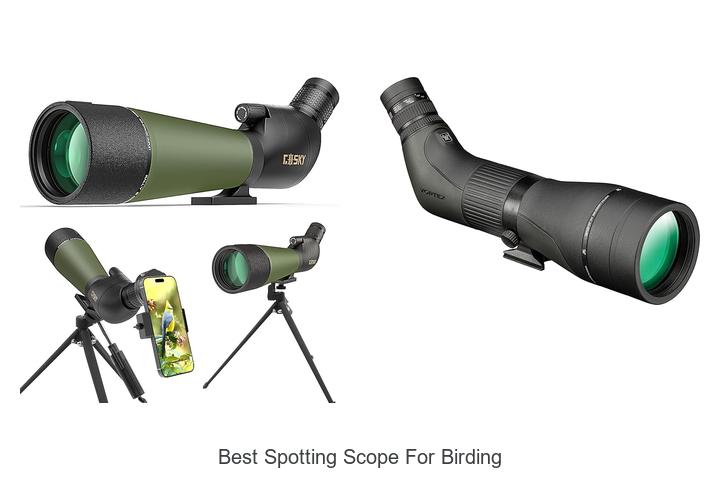 Top 12 Best Spotting Scope for Birding You Can’t Miss!
