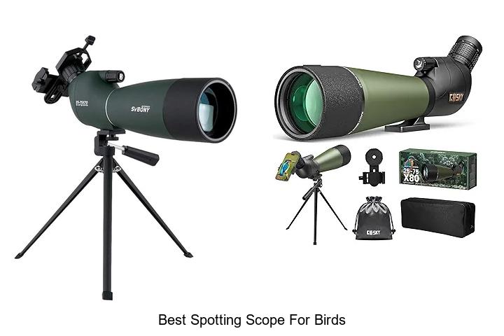Top 12 Best Spotting Scope For Birds You Can’t Miss!