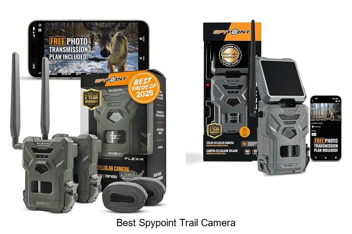 Top 12 Best Spypoint Trail Camera Hacks You Must Try Now