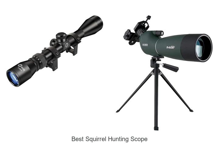 Top 12 Best Squirrel Hunting Scope That Will Boost Accuracy