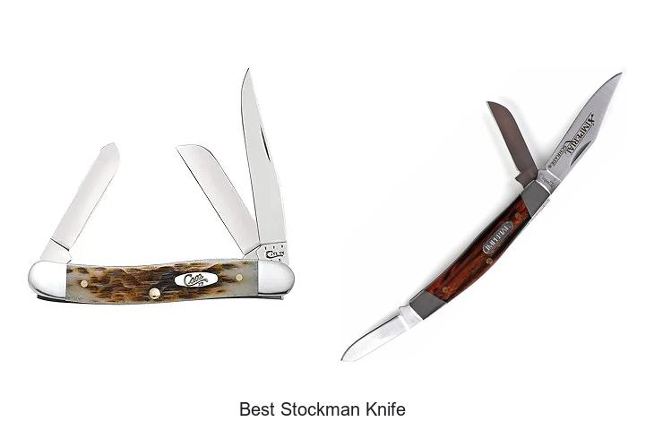 Top 12 Best Stockman Knife Picks You Can’t Miss Today