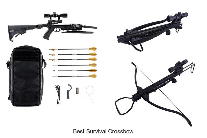 Top 12 Best Survival Crossbow Picks You Can’t Miss