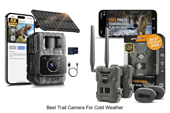 Top 12 Best Trail Camera For Cold Weather That Survive Ice!