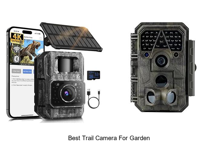 Top 12 Best Trail Camera For Garden That Will Blow Your Mind