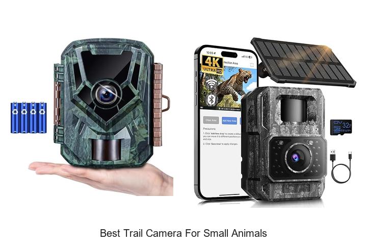 Top 12 Best Trail Camera for Small Animals You Need Now