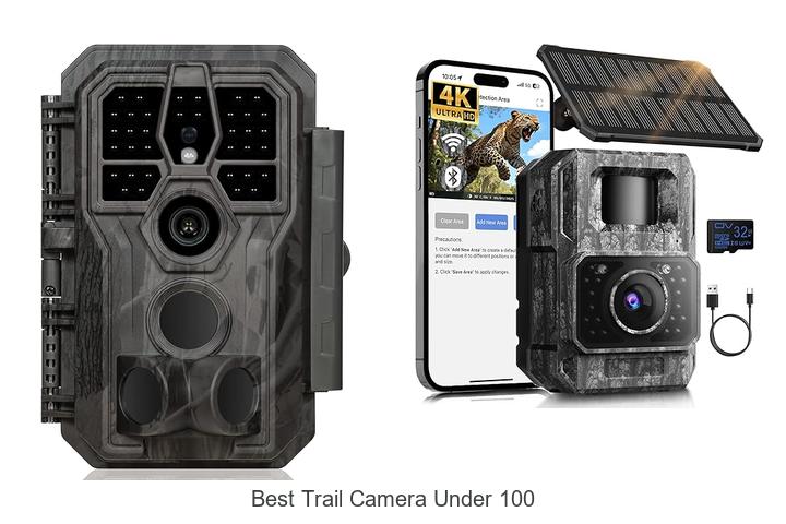 Top 12 Best Trail Camera Under 100 That Will Blow Your Mind