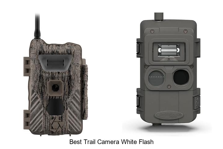 Top 12 Best Trail Camera White Flash You Can’t Miss!