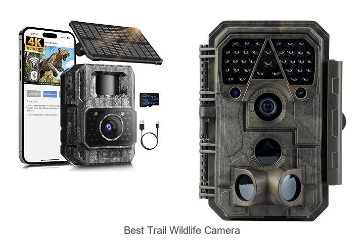 Top 12 Best Trail Wildlife Camera That Will Blow Your Mind!