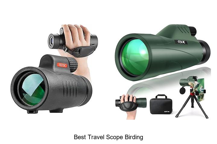 Top 12 Best Travel Scope Birding Gadgets You Can’t Miss!