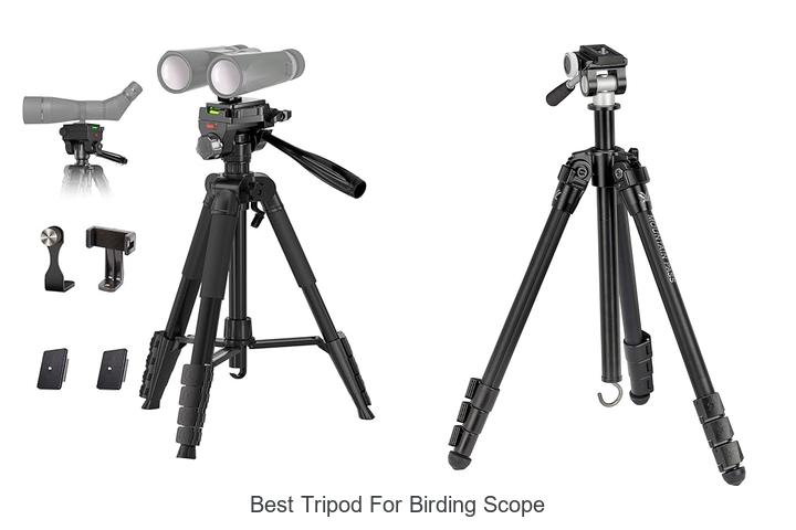 Top 12 Best Tripod for Birding Scope You Can’t Miss!