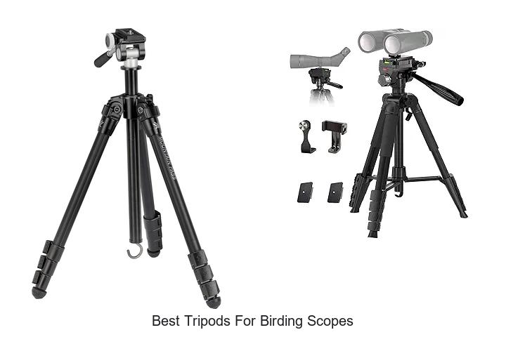 Top 12 Best Tripods for Birding Scopes You Can’t Miss