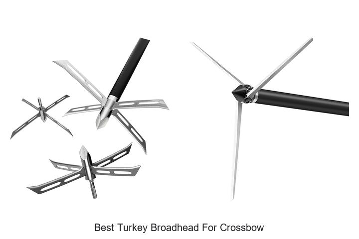 Top 12 Best Turkey Broadhead for Crossbow That Dominate