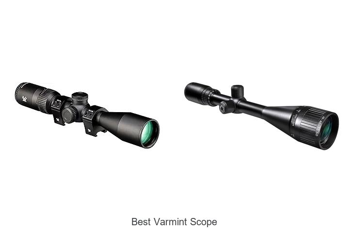Top 12 Best Varmint Scope Picks That Will Blow Your Mind!