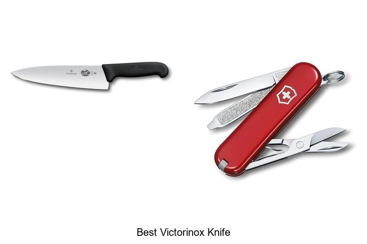 Top 12 Best Victorinox Knife You Can’t Miss Buying Today!