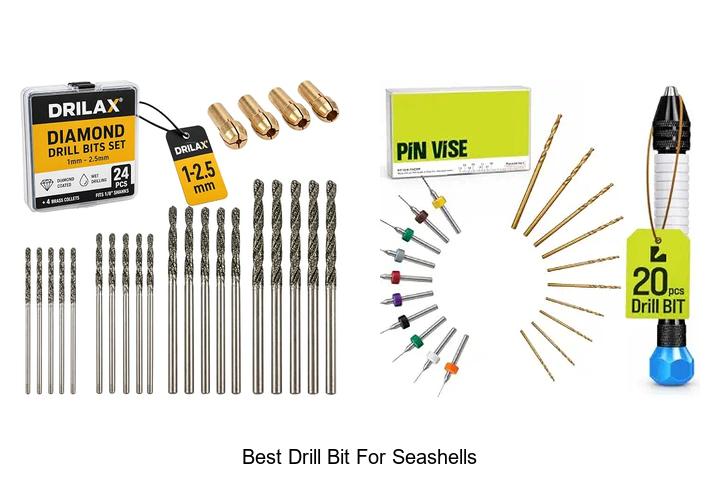 Top 12 Best Drill Bit For Seashells You Must Try Now