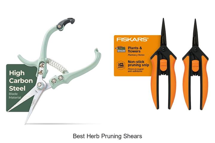 Top 12 Best Herb Pruning Shears You Can’t Miss Today