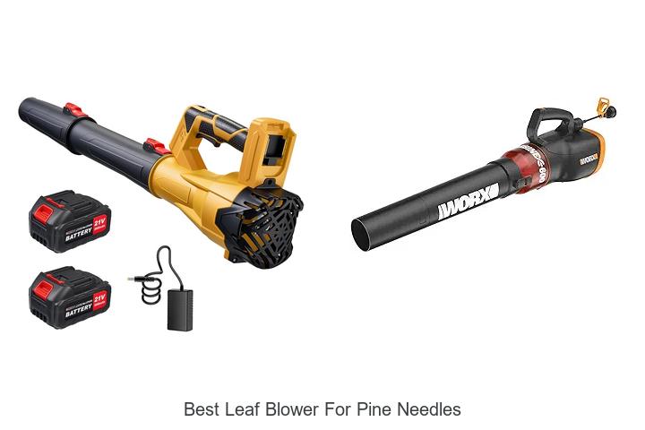 Top 12 Best Leaf Blower For Pine Needles That Amaze You!