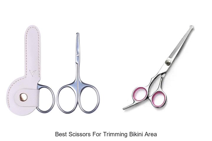 Top 12 Best Scissors for Trimming Bikini Area You Need Now
