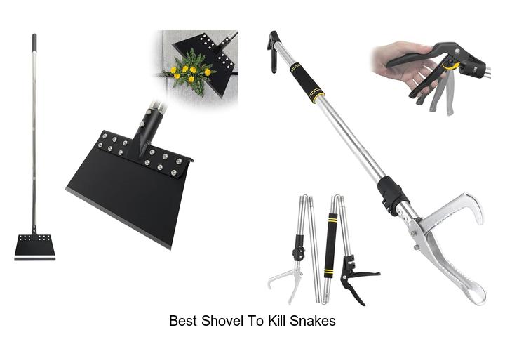Top 12 Best Shovel To Kill Snakes That Actually Work!