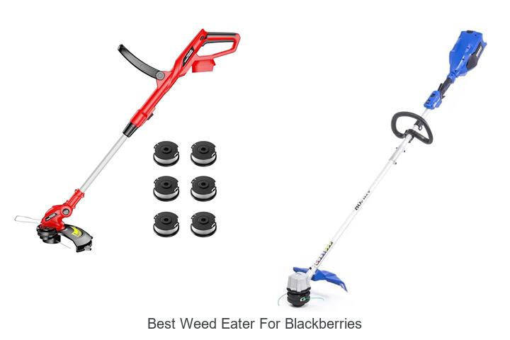Top 12 Best Weed Eater for Blackberries You Must Try!