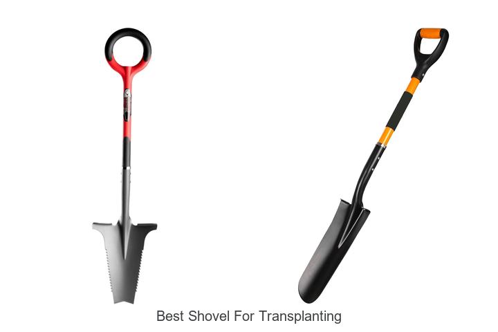 Top 12 Best Shovel For Transplanting That Make Work Easy