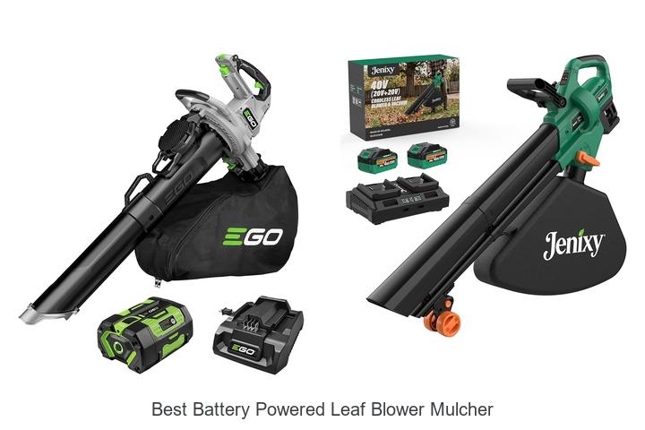 Top 12 Best Battery Powered Leaf Blower Mulcher You Need Now