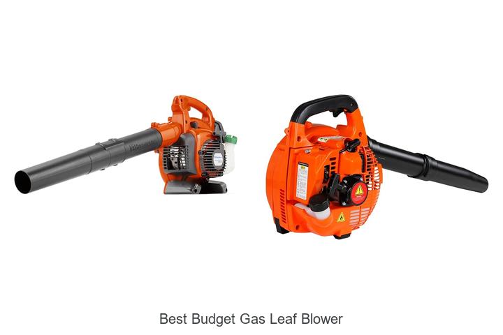 Top 12 Best Budget Gas Leaf Blower That Blows Away Deals