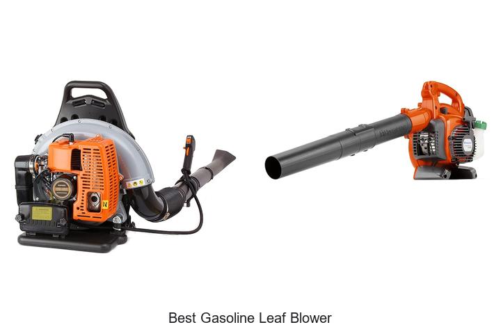 Top 12 Best Gasoline Leaf Blower That Will Blow You Away