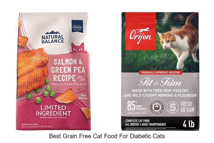 Top 12 Best Grain Free Cat Food For Diabetic Cats Revealed!