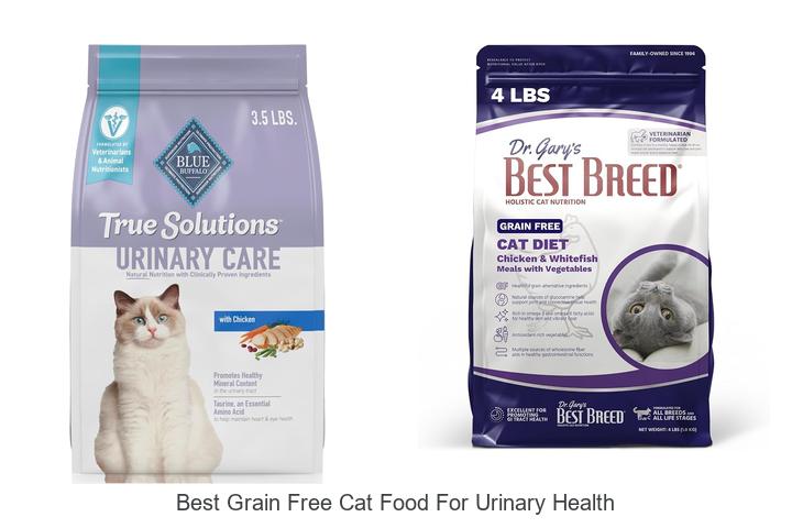 Top 12 Best Grain Free Cat Food For Urinary Health Now!