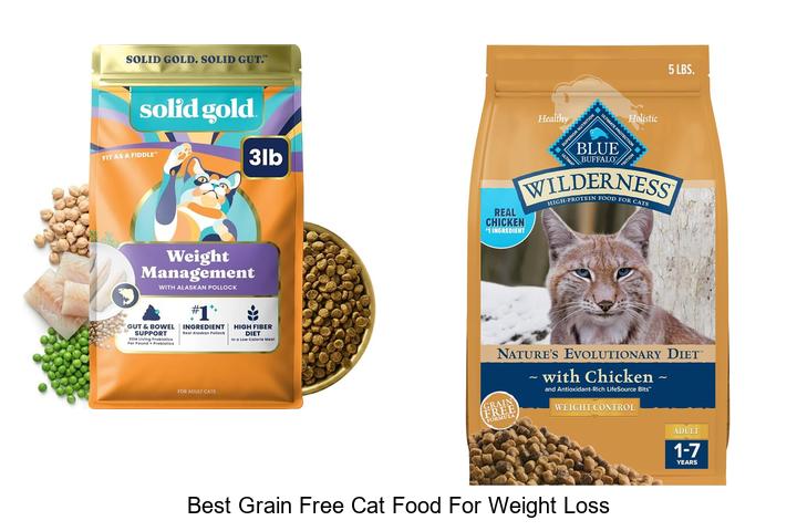Top 12 Best Grain Free Cat Food for Weight Loss Revealed!