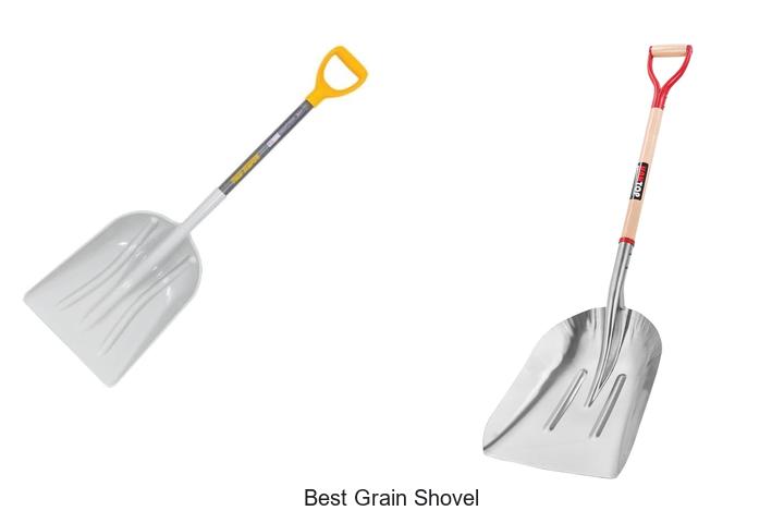 Top 12 Best Grain Shovel Picks You Can’t Miss Today