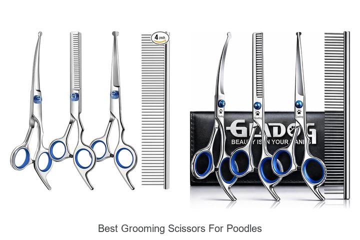 Top 12 Best Grooming Scissors for Poodles That Wow