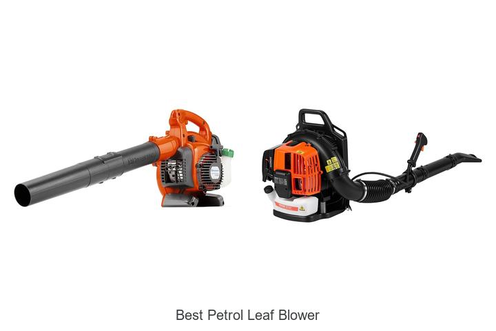 Top 12 Best Petrol Leaf Blower That Will Blow You Away