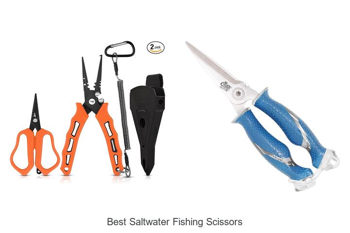 Top 12 Best Saltwater Fishing Scissors You Can’t Miss!