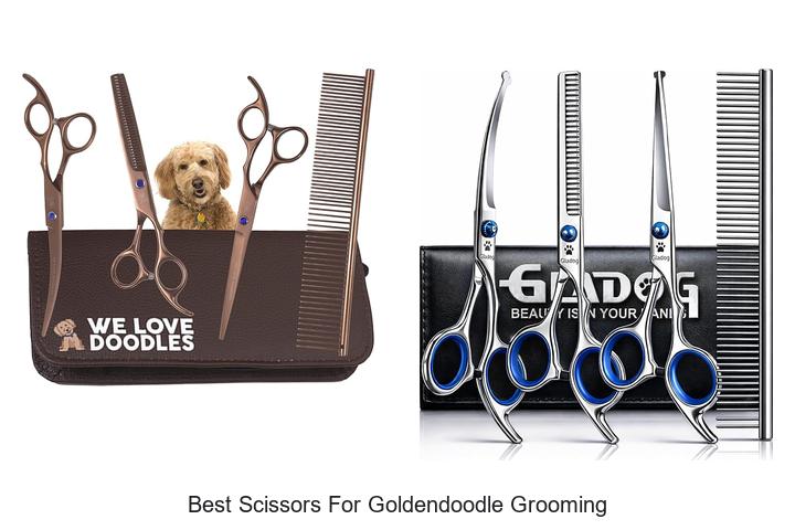 Top 12 Best Scissors For Goldendoodle Grooming You Need Now